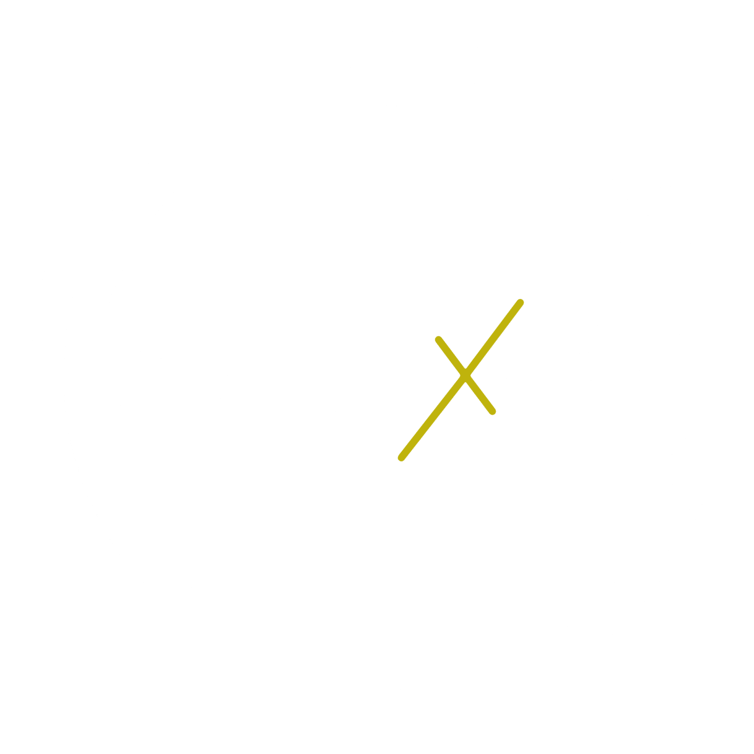 vorteX-io logo round white transparent background